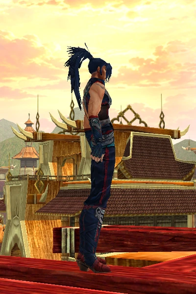 Dhanus at character creation, male, turned